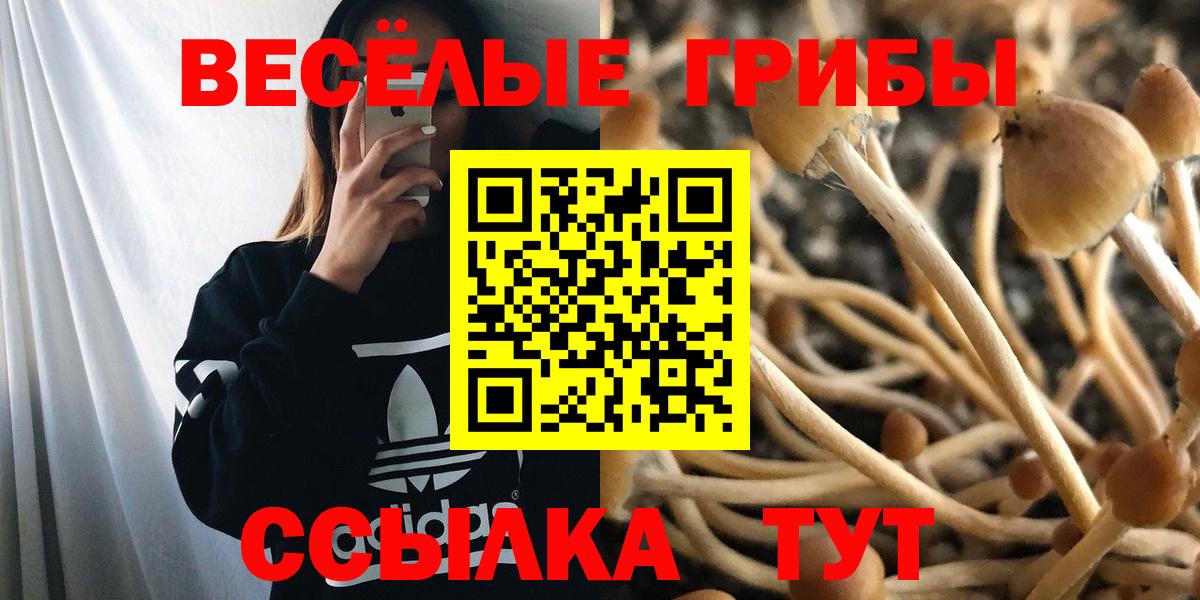 Псилоцибиновые грибы Magic Shrooms Хабаровск