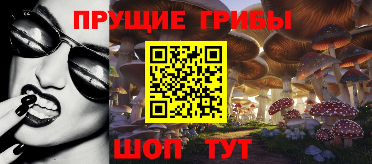 Хабаровск  цена наркотик  Вход с VPN  Псилоцибиновые грибы GOLDEN TEACHER 
